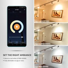 Lepro LED spuldze, Smart, Wi-Fi, Savietojams ar Alexa un Google Home, 2700-6500K, 4,5W, 2gab цена и информация | Лампочки | 220.lv