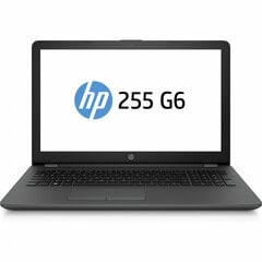 Портативный компьютер 255 G6 i3-6006U 8GB 256GB SSD Windows 10  цена и информация | Ноутбуки | 220.lv