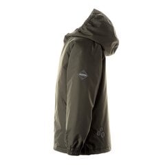 Детская куртка весна-осень Huppa ALEXIS, темно-зеленая цена и информация | Куртки для мальчиков | 220.lv