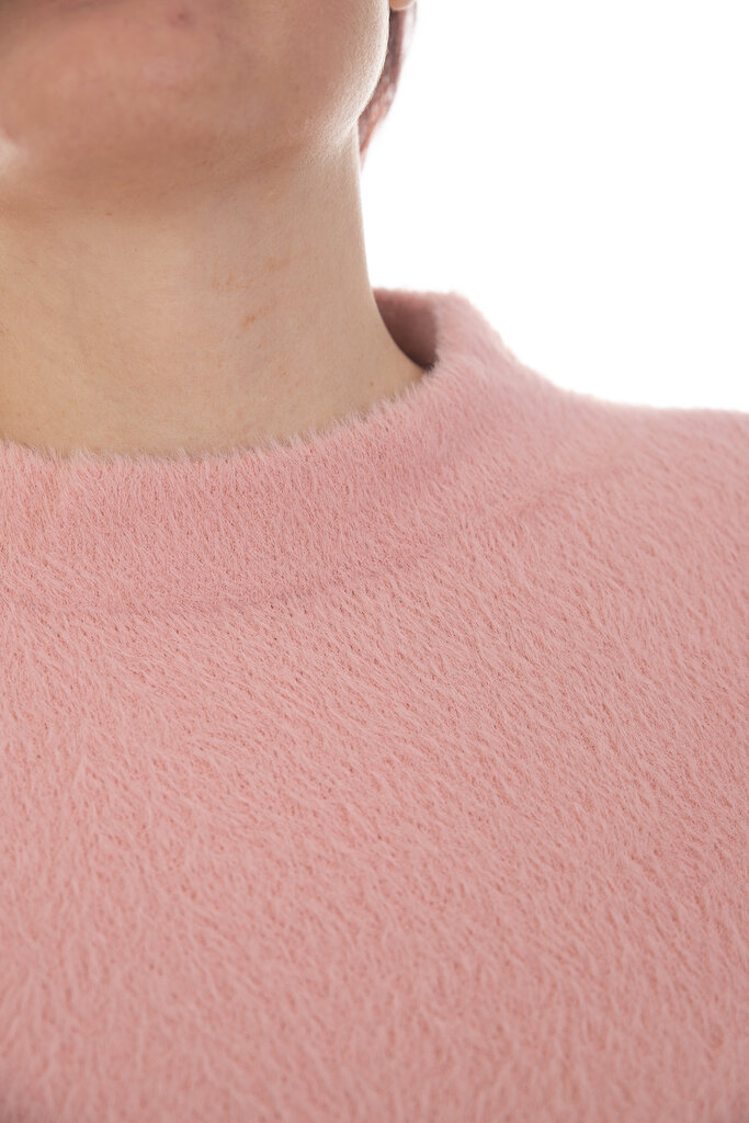 Džemperis ar plūksnu цена и информация | Sieviešu džemperi | 220.lv