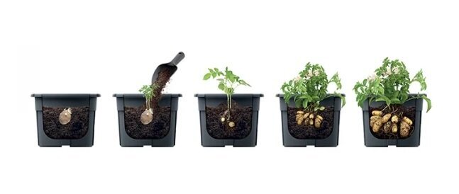 Puķu pods kartupeļu audzēšanai izie300 29,5cm цена и информация | Puķu podi | 220.lv