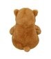 AURORA Sluuumpy Plīša lācis, 20 cm цена и информация | Mīkstās (plīša) rotaļlietas | 220.lv