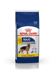 Royal canin shn 15+3kg maxi suņiem цена и информация |  Сухой корм для собак | 220.lv