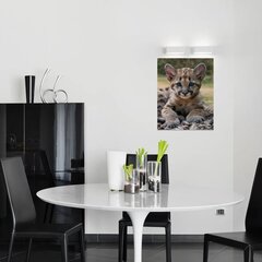 Apdrukāts bērnu leoparda sienas audekls Dzīvnieku audekls mākslas bērnu istabas interjera dekors - 40 x 30 cm цена и информация | Картины | 220.lv