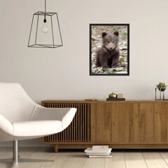 Настенный плакат с медвежонком Декор интерьера для детской комнаты - 40 х 27 см цена и информация | Декоративные наклейки | 220.lv