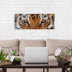 Apdrukāta kanvas sienas māksla Wild Sibīrijas tīģera interjera dekors guļamistabai, viesistabai un birojam - 78 x 30 cm cena un informācija | Gleznas | 220.lv