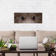 Sienas apdruka Audekls Black Bear Eyes Interjera dekors - 78 x 30 cm cena un informācija | Gleznas | 220.lv