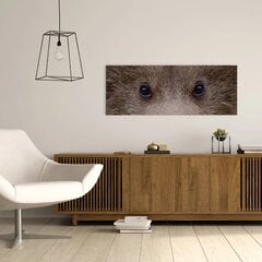 Sienas apdruka Audekls Black Bear Eyes Interjera dekors - 78 x 30 cm цена и информация | Картины | 220.lv