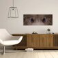 Sienas apdruka Audekls Black Bear Eyes Interjera dekors - 78 x 30 cm цена и информация | Gleznas | 220.lv