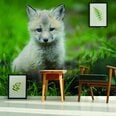 Фотообои с изображением маленькой и милой лисы Обои с животными Декор интерьера для детской комнаты - 390 х 280 см
