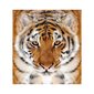 Fotogrāfijas ar tīģera attēlu Tapetes ar dzīvniekiem Interjera dekors bērnu istabai - 390 x 280 cm cena un informācija | Dekoratīvās uzlīmes | 220.lv