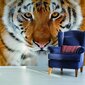 Fotogrāfijas ar tīģera attēlu Tapetes ar dzīvniekiem Interjera dekors bērnu istabai - 390 x 280 cm цена и информация | Dekoratīvās uzlīmes | 220.lv