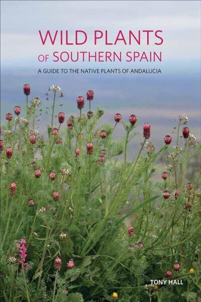 Wild Plants of Southern Spain: A guide to the native plants of Andalucia cena un informācija | Enciklopēdijas, uzziņu literatūra | 220.lv