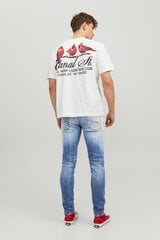 Джинсы JACK&JONES 12229197BLUEDENIM-31/30 цена и информация | Мужские джинсы | 220.lv