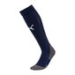 Puma Zeķes Team Liga Socks Core Blue 703441 06 цена и информация | Zēnu zeķubikses, zeķes | 220.lv