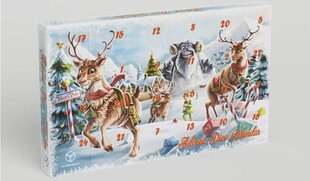 Kauliukų rinkinys Advent Dice Calendar cena un informācija | Galda spēles | 220.lv