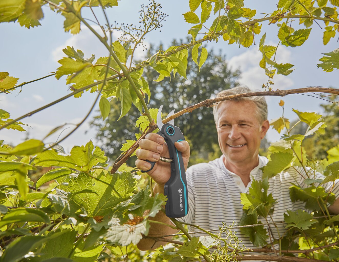 Gardena akumulatora dārza šķēres assistcut цена и информация | Dārza instrumenti | 220.lv