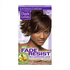 Постоянная краска Soft & Sheen Carson Dark and Lovely Nº 373 Каштановый цена и информация | Краска для волос | 220.lv