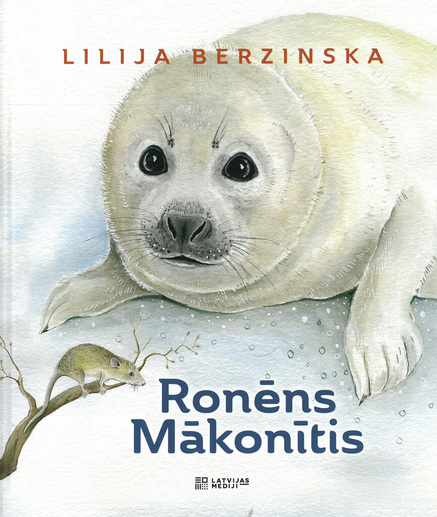 Ronēns Mākonītis cena un informācija | Pasakas | 220.lv