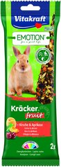 Vitakraft Emotion Kracker Fruit для кроликов, 2 шт. цена и информация | Корм для птиц | 220.lv