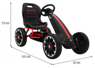 Миниатюрный картинг Gokart ABARTH, черный цена и информация | Игрушки для мальчиков | 220.lv