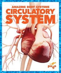 Circulatory System цена и информация | Книги для малышей | 220.lv