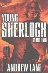 Stone Cold Unabridged edition цена и информация | Книги для подростков  | 220.lv