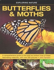 Exploring Nature: Butterflies & Moths: A Comprehensive Guide to the Brief but Brilliant Lives of These Fascinating Creatures, with Over 200 Pictures cena un informācija | Grāmatas pusaudžiem un jauniešiem | 220.lv