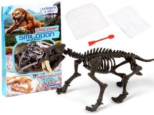 Aizvēsturiskā tīģera skelets, Clementoni cena un informācija | Attīstošās rotaļlietas | 220.lv