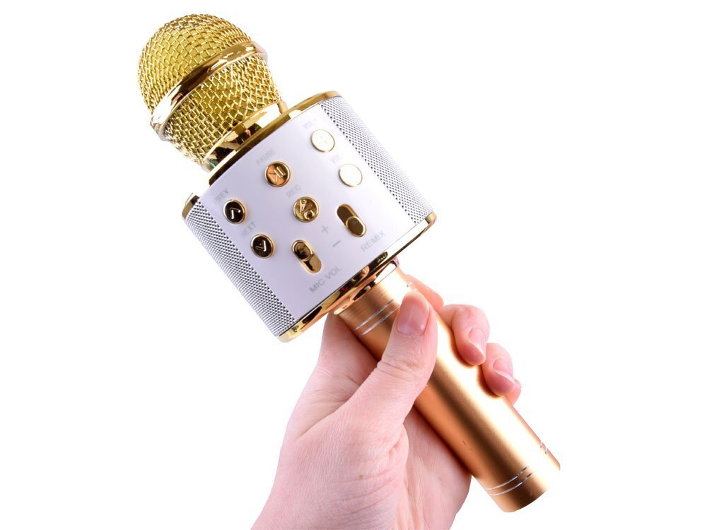 Bezvadu karaoke mikrofons ar skaļruni, zelta krāsā cena un informācija | Attīstošās rotaļlietas | 220.lv