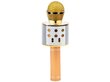 Bezvadu karaoke mikrofons ar skaļruni, zelta krāsā цена и информация | Attīstošās rotaļlietas | 220.lv
