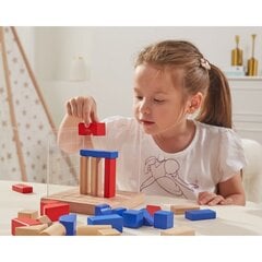 Деревянные Монтессори 3D блоки для детей, Viga цена и информация | Развивающие игрушки | 220.lv