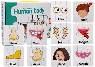 Пазл Части тела, 10 рисунков, на английском языке цена и информация | Развивающие игрушки | 220.lv