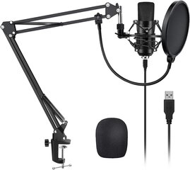 Profesionāls mikrofonu komplekts. Klēpjdatora mikrofons ar statīvu, kronšteinu, radio podkāstu ierakstīšanai cena un informācija | Mikrofoni | 220.lv