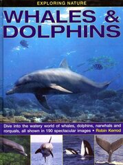 Exploring Nature: Whales & Dolphins: Dive into the Watery World of Whales, Dolphins, Narwhals and Rorquals, All Shown in 190 Spectacular Images cena un informācija | Grāmatas pusaudžiem un jauniešiem | 220.lv