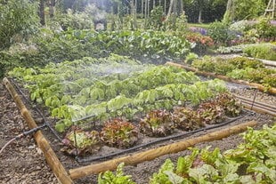 Laistīšanas sistēma dārzeņu/puķu dobju laistīšanai Gardena Micro-Drip-System, 60 m² cena un informācija | Laistīšanas sistēmas | 220.lv