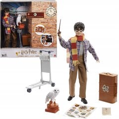 Komplekts Harija pirmais ceļojums uz Cūkkārpu Harry Potter цена и информация | Игрушки для девочек | 220.lv