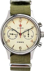 Vīriešu pulkstenis Seagull 1963 ST1901 Chronograph цена и информация | Мужские часы | 220.lv