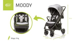 Ratiņi 4Baby Moody XXII, Grey cena un informācija | Bērnu rati | 220.lv