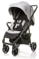 Ratiņi 4Baby Moody XXII, Light Grey цена и информация | Коляски | 220.lv