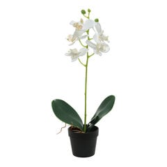 Dekoratīvs Augs Orhideja 13 x 25 cm PVC cena un informācija | Mākslīgie ziedi | 220.lv