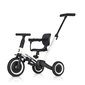 Bērnu velosipēds Tremix Up Blank cena un informācija | Trīsriteņi | 220.lv