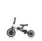 Bērnu velosipēds Tremix Up Blank cena un informācija | Trīsriteņi | 220.lv