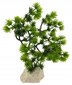 Mākslīgais augs akvārija dekorēšanai 18 cm cena un informācija | Akvārija augi, dekori | 220.lv