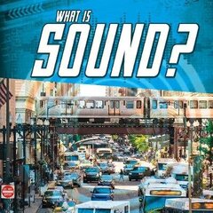 What Is Sound? цена и информация | Книги для подростков и молодежи | 220.lv