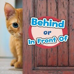 Behind or In Front Of цена и информация | Книги для подростков и молодежи | 220.lv