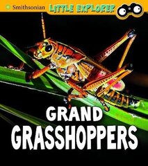 Grand Grasshoppers cena un informācija | Grāmatas pusaudžiem un jauniešiem | 220.lv