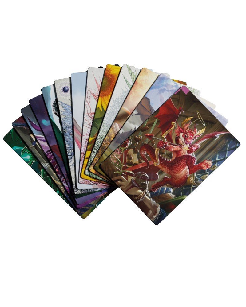 Spēle Dragon Shield Card Dividers Series #1 (20 gab.) cena un informācija | Galda spēles | 220.lv