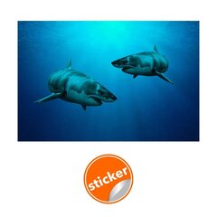 Фотообои с изображением акул Обои с подводным морским эффектом Декор интерьера  - 390 х 280 см цена и информация | Декоративные наклейки | 220.lv