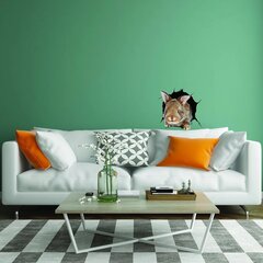 Виниловая 3D наклейка на стену с милым кроликом Декор интерьера - 40 х 30 см цена и информация | Декоративные наклейки | 220.lv